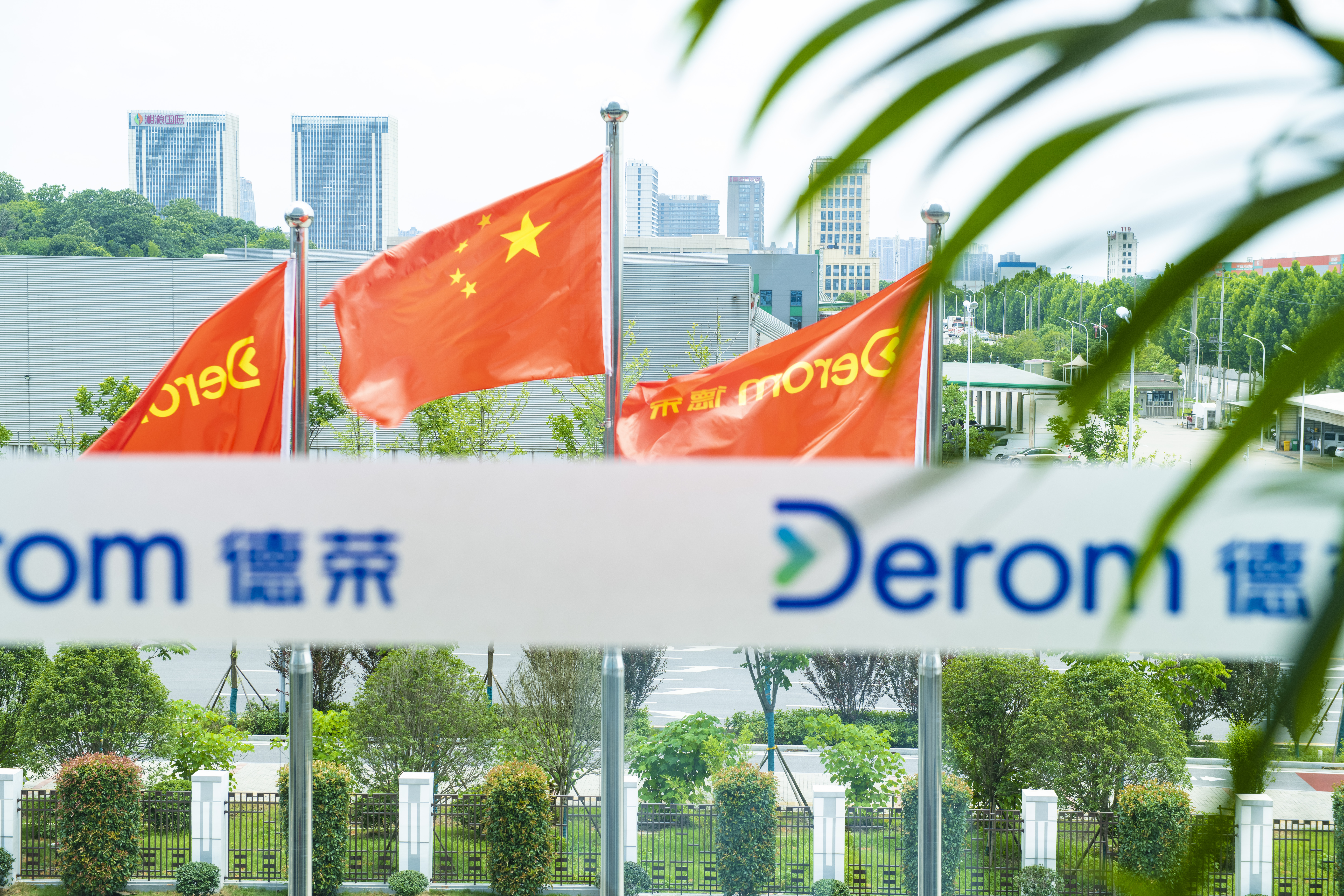 DSC_4347.jpg DSC_4347.jpg